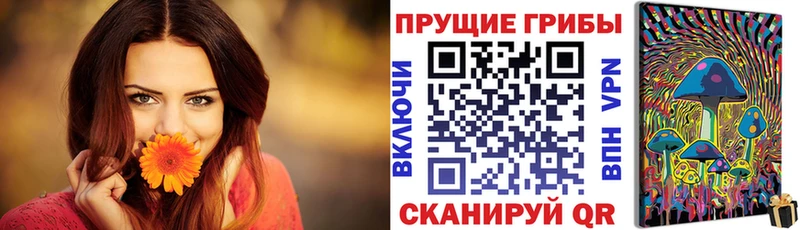 Галлюциногенные грибы Psilocybine cubensis  ОМГ ОМГ   Североуральск 